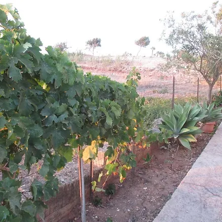 Sortino Ribera